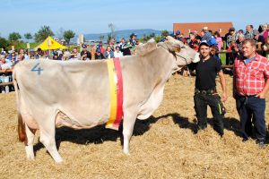 Schneuter mittlere_Jaguar Elenora_Fam Hcki Pfffikon